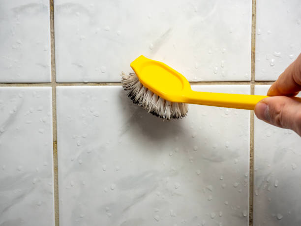 Best Professional Mold Removal  in Roanoke, AL