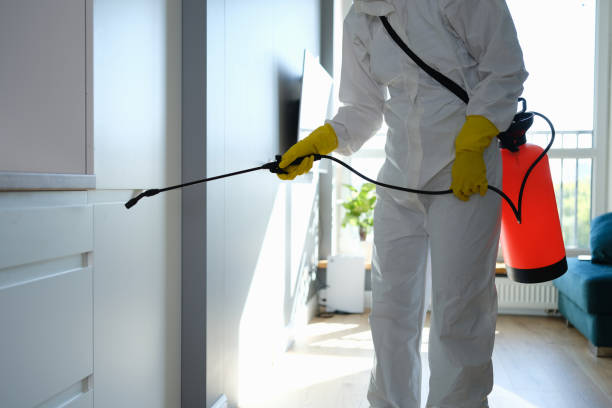 Best Mold Cleaning Services  in Roanoke, AL
