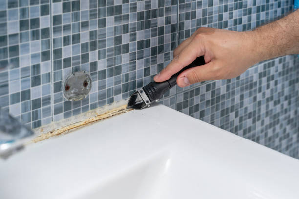 Best Residential Mold Removal  in Roanoke, AL